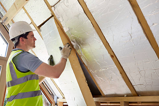 Best Eco-Friendly Insulation in Dunnellon, FL