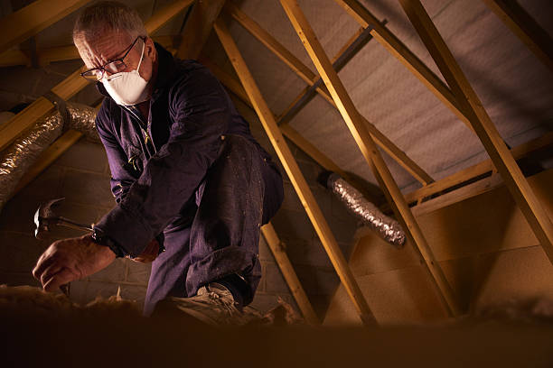 Types of Insulation We Offer in Dunnellon, FL